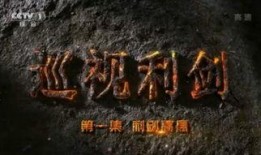 巡视利剑 在线观看,揭秘反腐斗争背后的真实故事